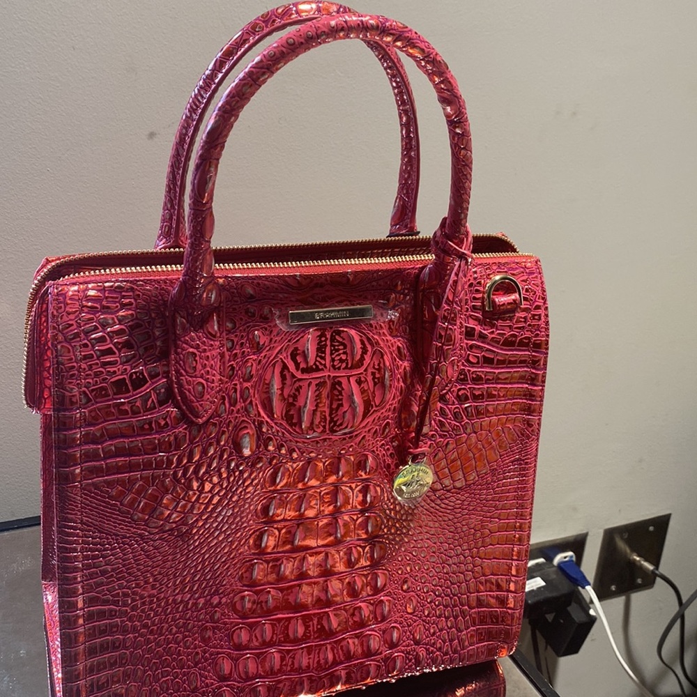 Brahmin - Picture 13 of 15